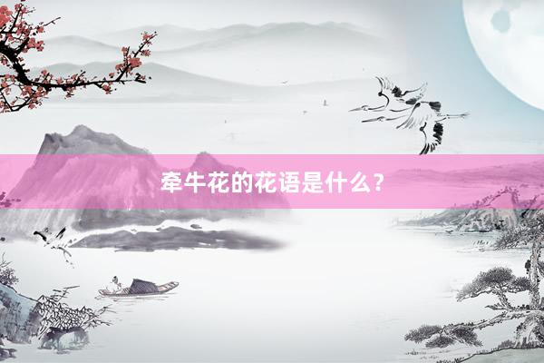 牵牛花的花语是什么？