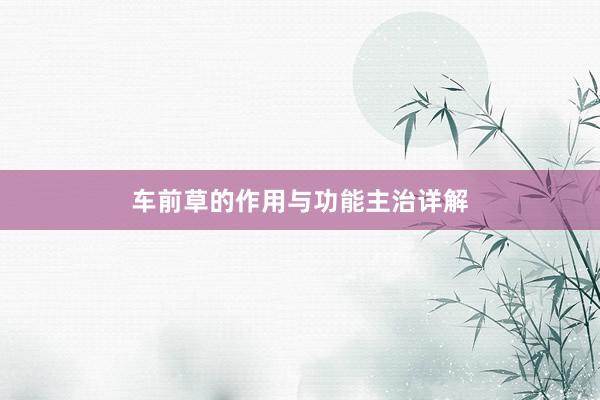 车前草的作用与功能主治详解